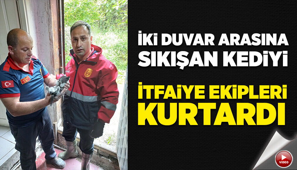 İki duvar arasına sıkışan kediyi itfaiye ekipleri kurtardı