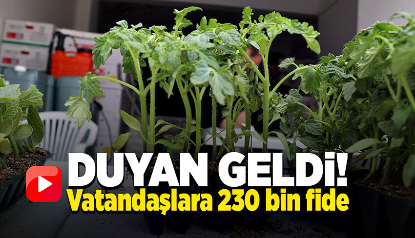 Vatandaşlara 230 bin fide dağıtıldı, halk yoğun ilgi gösterdi