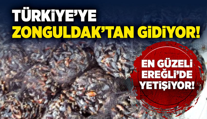 Türkiye’ye Zonguldak’tan gidiyor!
