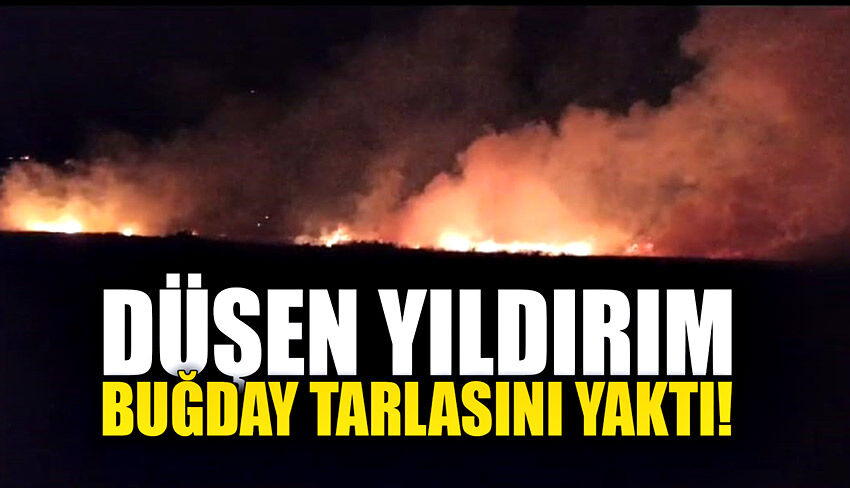 Yıldırım buğday tarlasını yakarak küle çevirdi!