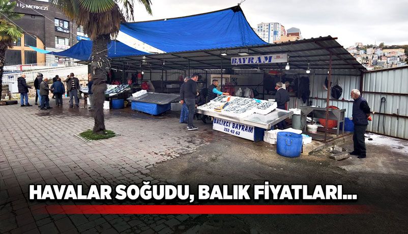 Havalar soğudu, balık fiyatları…