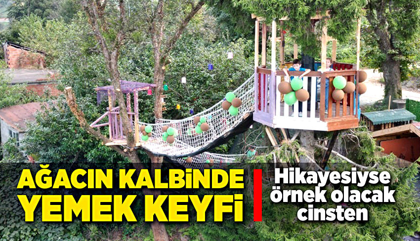Ağacın kalbinde, yemek keyfi