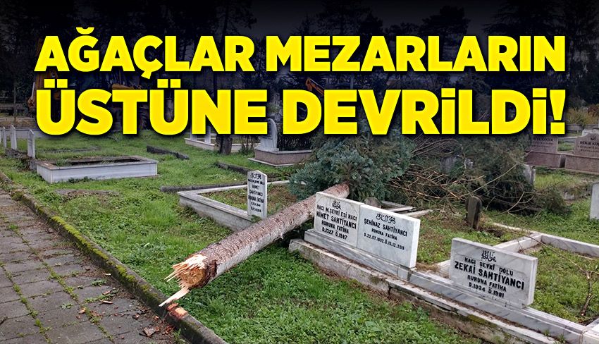 Ağaçlar fırtınaya dayanamadı, mezarlığa devrildi