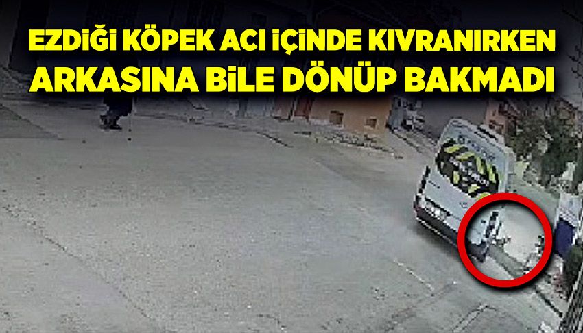 Ezdiği köpek acı içinde kıvranırken, arkasına bile dönüp bakmadı!