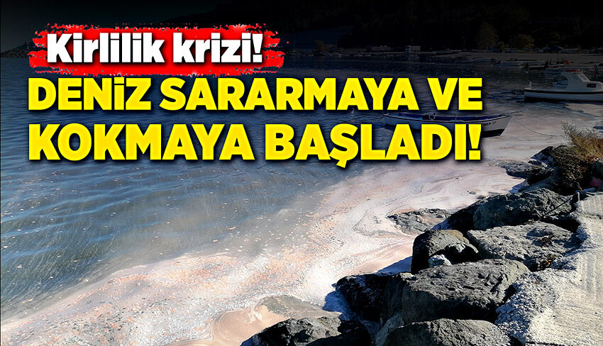 Kirlilik krizi! Deniz sararmaya ve kokmaya başladı!