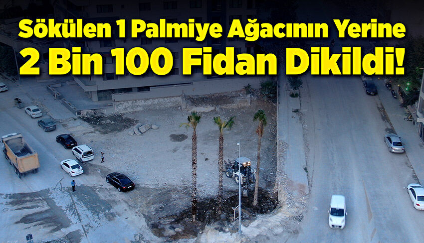 Hafriyat şirketi 1 ağacı söktü, 2 bin 100 fidanla toprağı buluşturdu!