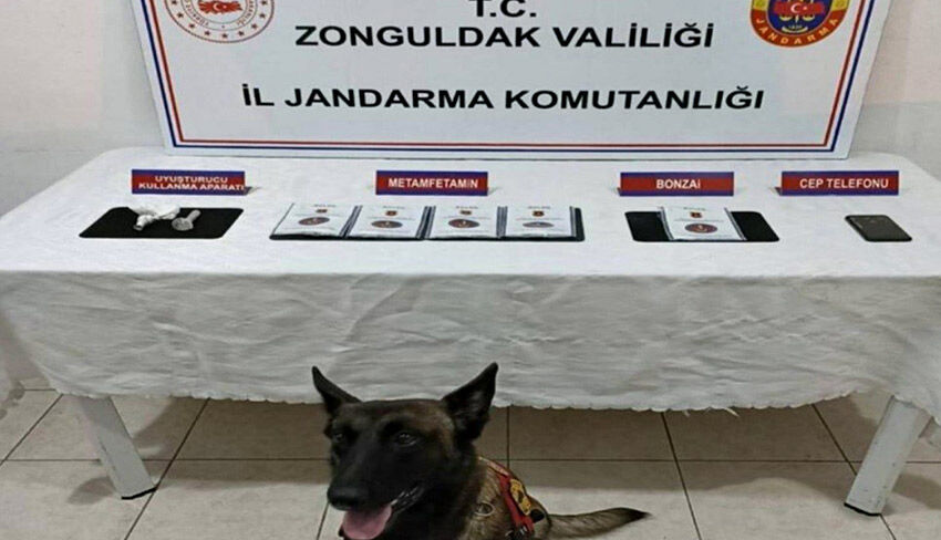 Jandarmanın gece baskını! Zonguldak'ta 8 uyuşturucu taciri tutuklandı!