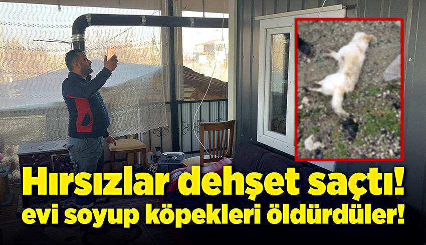 Hırsızlar dehşet saçtı!