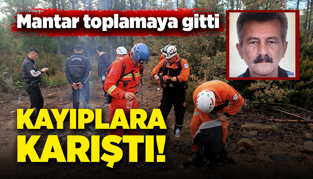 Mantar toplamaya gitti, kayıplara karıştı!