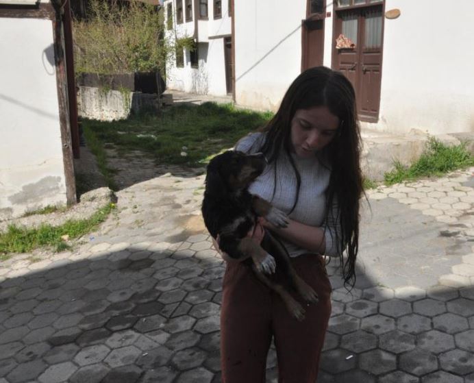 Boğulmak Üzere Olan Köpek 3