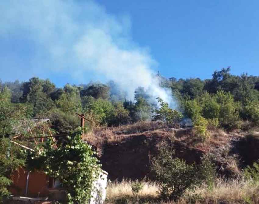 Zonguldak Orman Yangını 2024 2