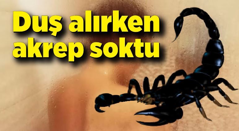 Duş alırken akrep soktu - Zonguldak Haberleri
