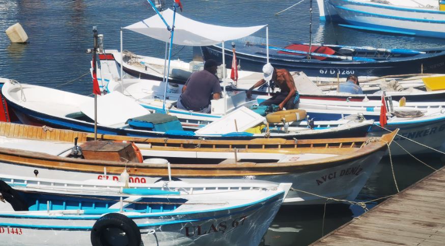 Zonguldak Balıkçı 3