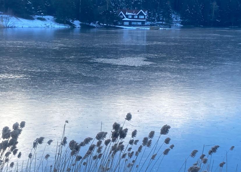 Bolu Gölcük Tabiat Parkı 2025 2