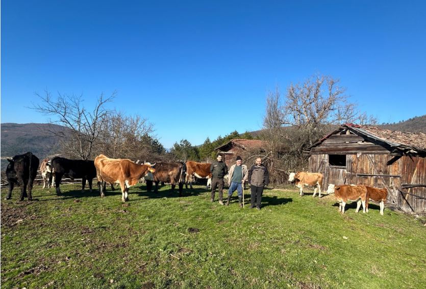 Kayıp Dron Hayvan