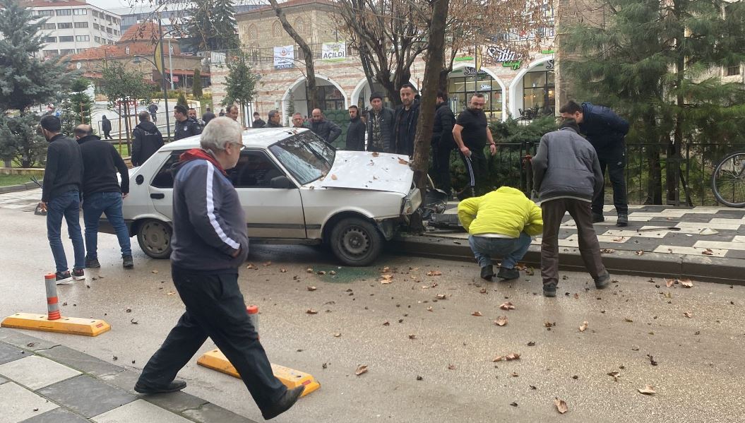 Köpeğe Çarpmamak Için Ağaca Çarptı 2