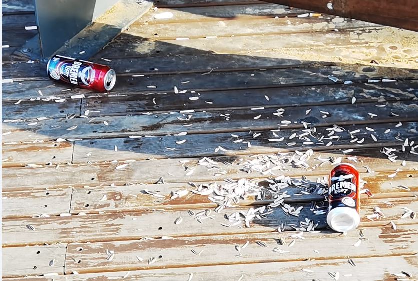 Zonguldak Sahil Kirlilik 1