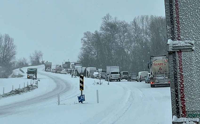 1D873F82 8Bdb 4Bef A505 8758226559C7