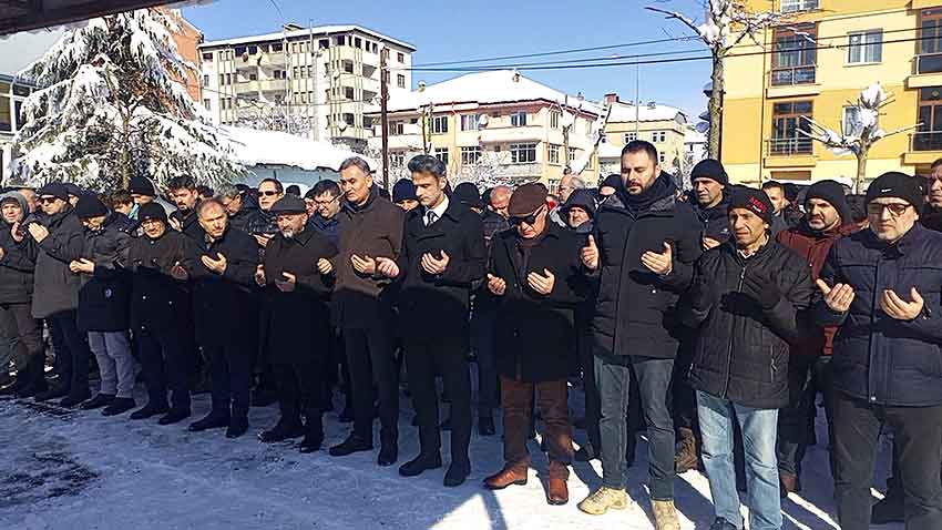 210Ecc50 46Fc 49E4 8Ab2 449717Fa5187