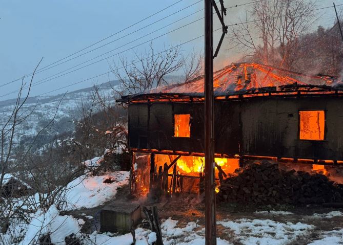 Düzce Yangın