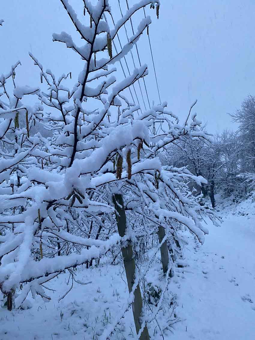 Whats App Image 2025 02 05 At 09.32.16 (1)