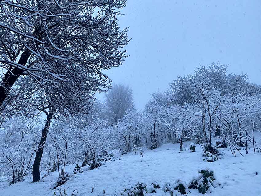 Whats App Image 2025 02 05 At 09.32.16 (5)