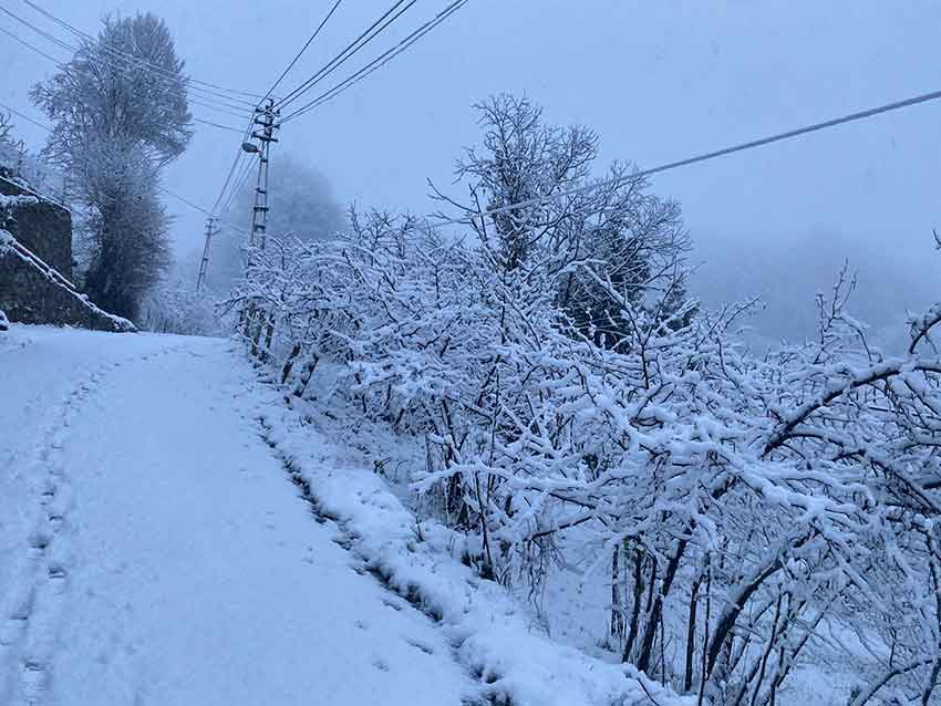 Whats App Image 2025 02 05 At 09.32.16