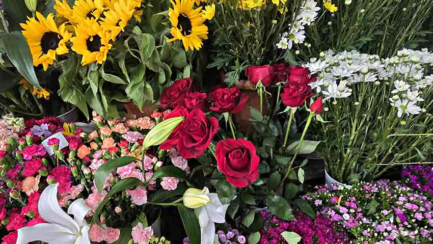 Whats App Image 2025 02 14 At 11.59.16