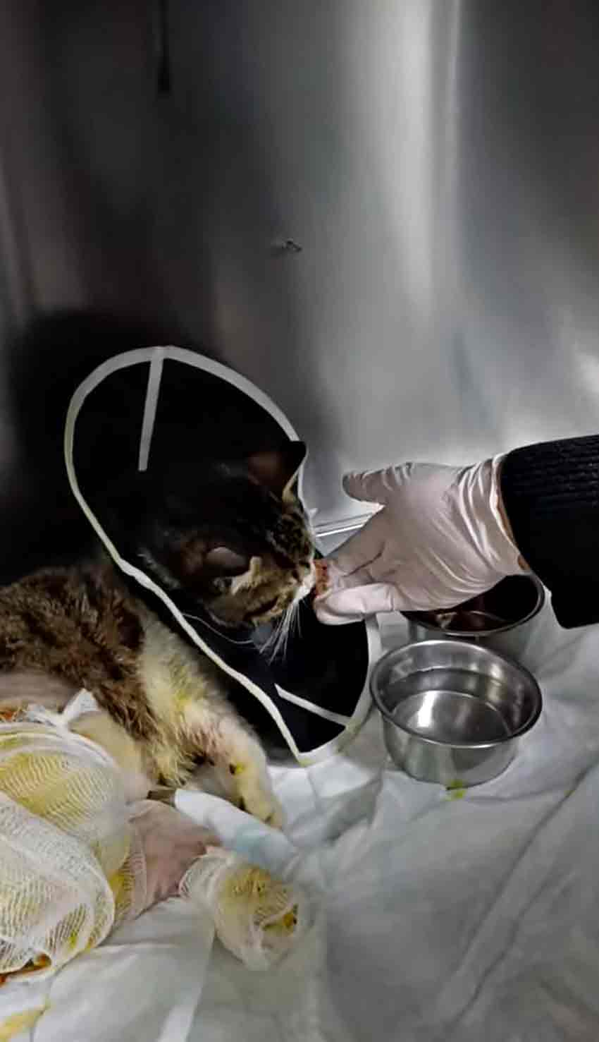 Whats App Image 2025 03 06 At 13.48.13