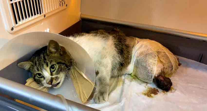 Whats App Image 2025 03 06 At 13.48.29