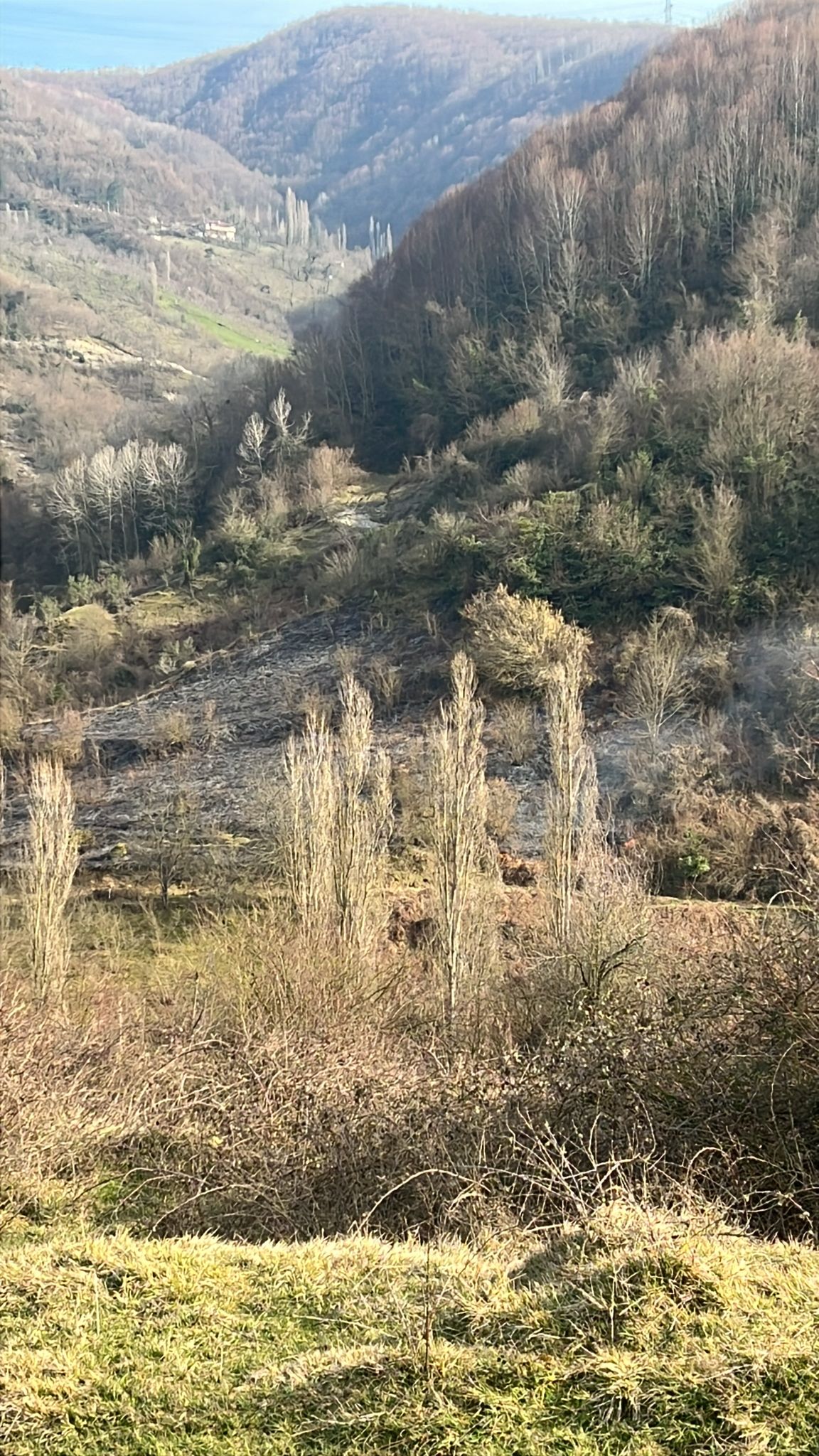 Whatsapp Image 2025 03 11 At 16.24.00