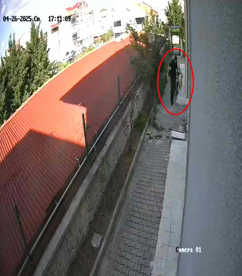 S A H I P L E N D I G I K O P E K L E R I E V D E P A R C A L A Y I P 686090 203223