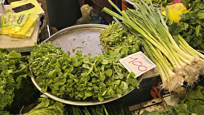 Whats App Image 2025 04 30 At 14.52.18 (1)