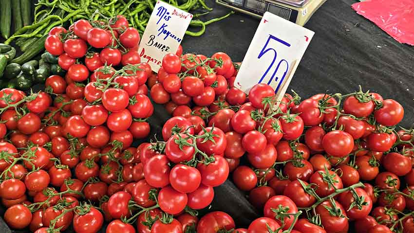 Whats App Image 2025 04 30 At 14.52.19 (1)