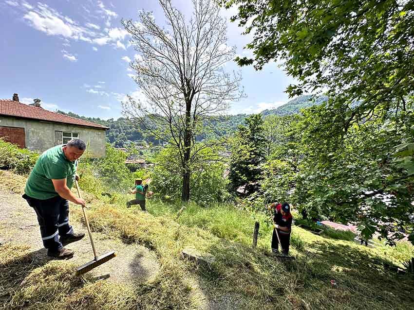 495691100 1104368025054144 8692437879239185626 N