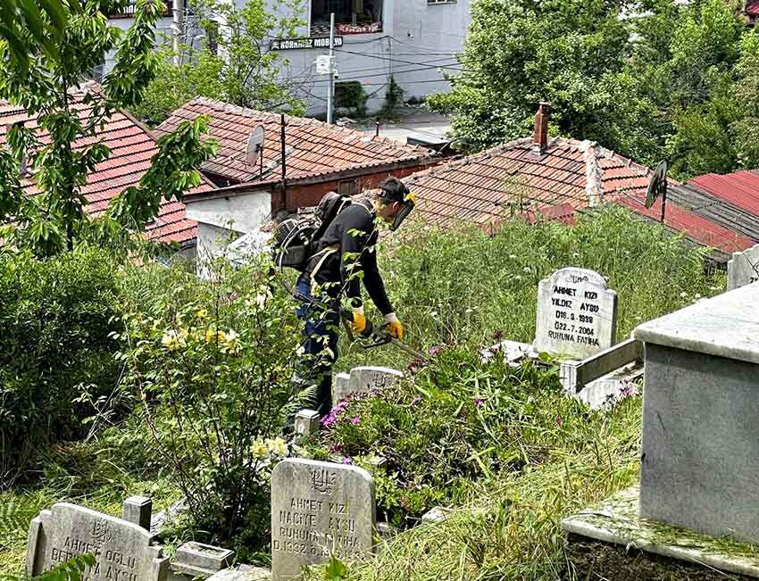 498209687 1104368055054141 2815785088231543539 N