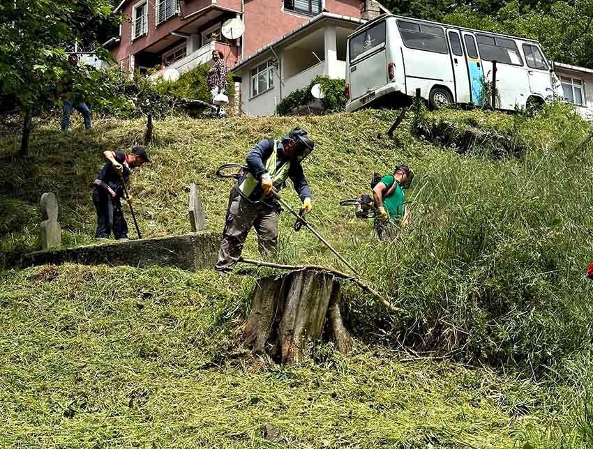 500153777 1104367998387480 681746355430916647 N