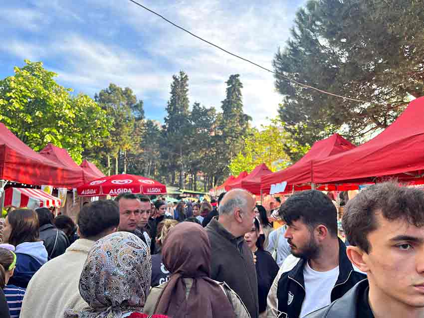 C43F3988 Ae5D 4Aac 8761 4D3B7959Bacc