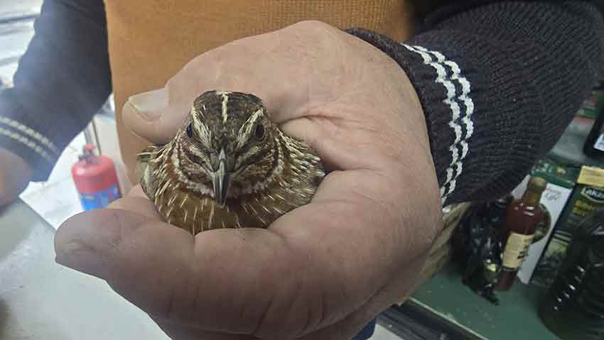 Whats App Image 2025 05 02 At 10.34.03