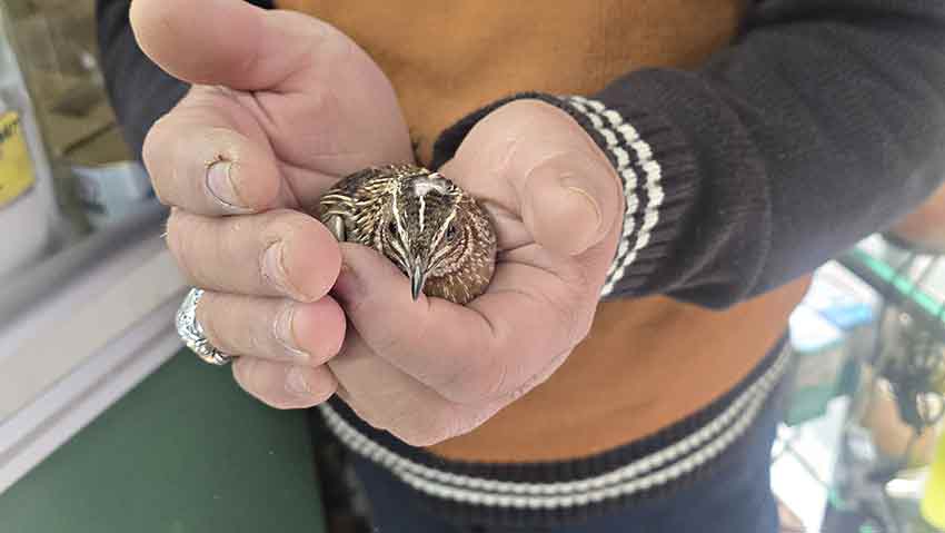 Whats App Image 2025 05 02 At 10.34.05 (1)