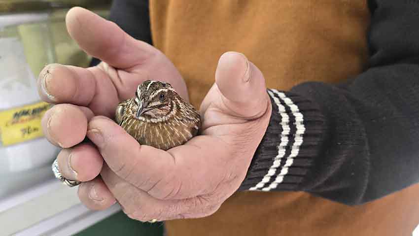 Whats App Image 2025 05 02 At 10.34.07