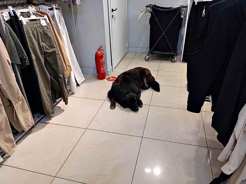 Whats App Image 2025 05 02 At 12.59.58