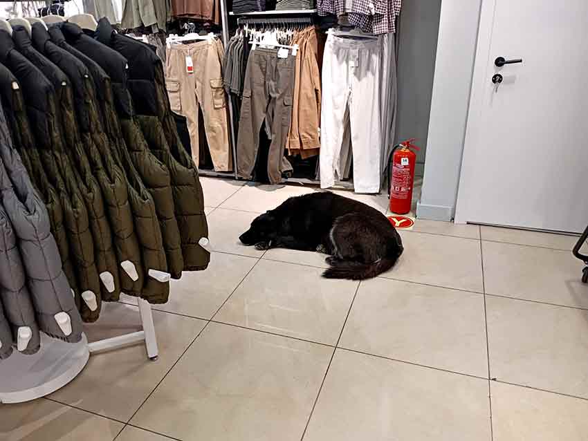 Whats App Image 2025 05 02 At 12.59.59