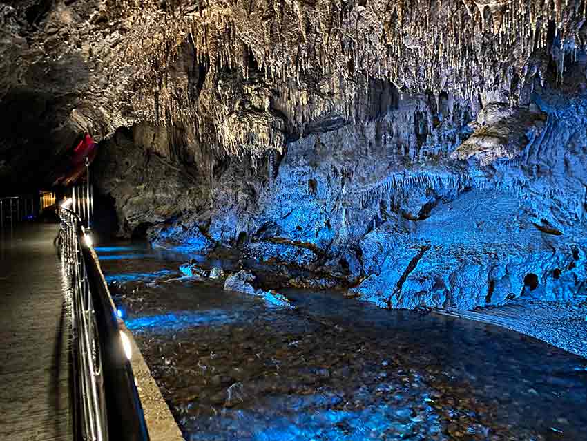 Whats App Image 2025 05 04 At 13.22.12 (1)