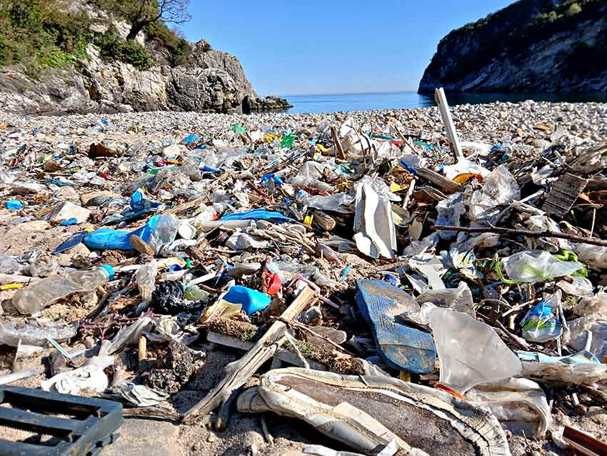 Whats App Image 2025 05 05 At 10.02.19