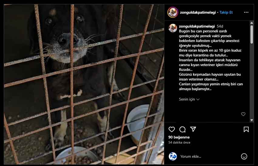 Whats App Image 2025 05 06 At 09.06.52