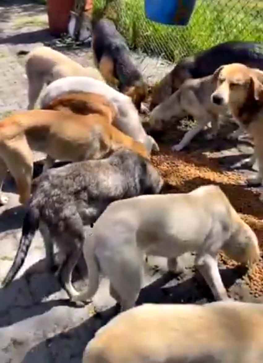 Whats App Image 2025 05 10 At 23.00.16