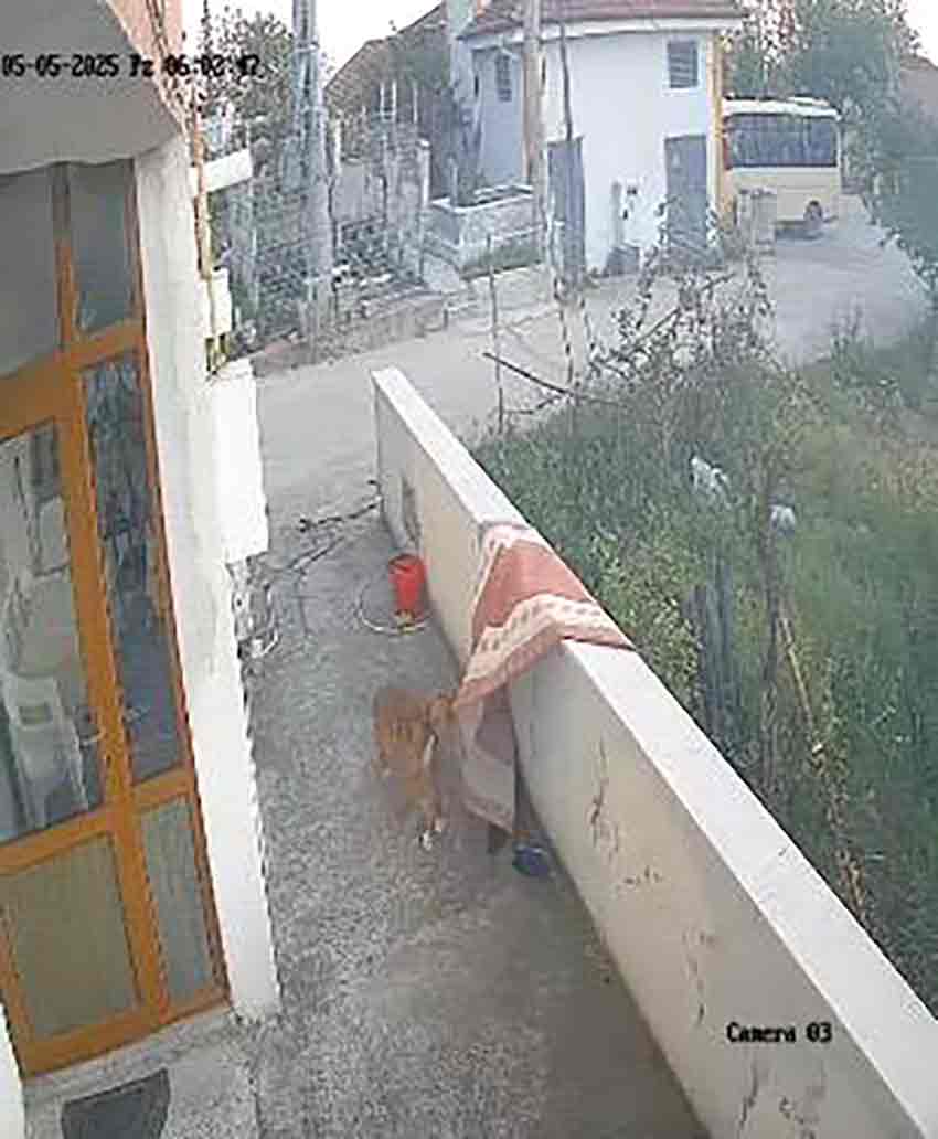 Whats App Image 2025 05 12 At 21.51.57