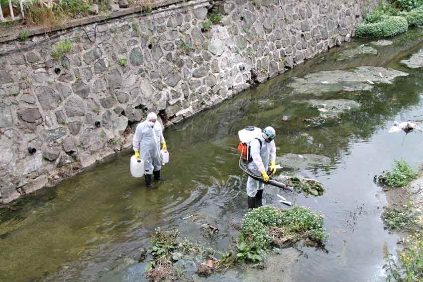 Whats App Image 2025 05 14 At 11.31.40 (1)