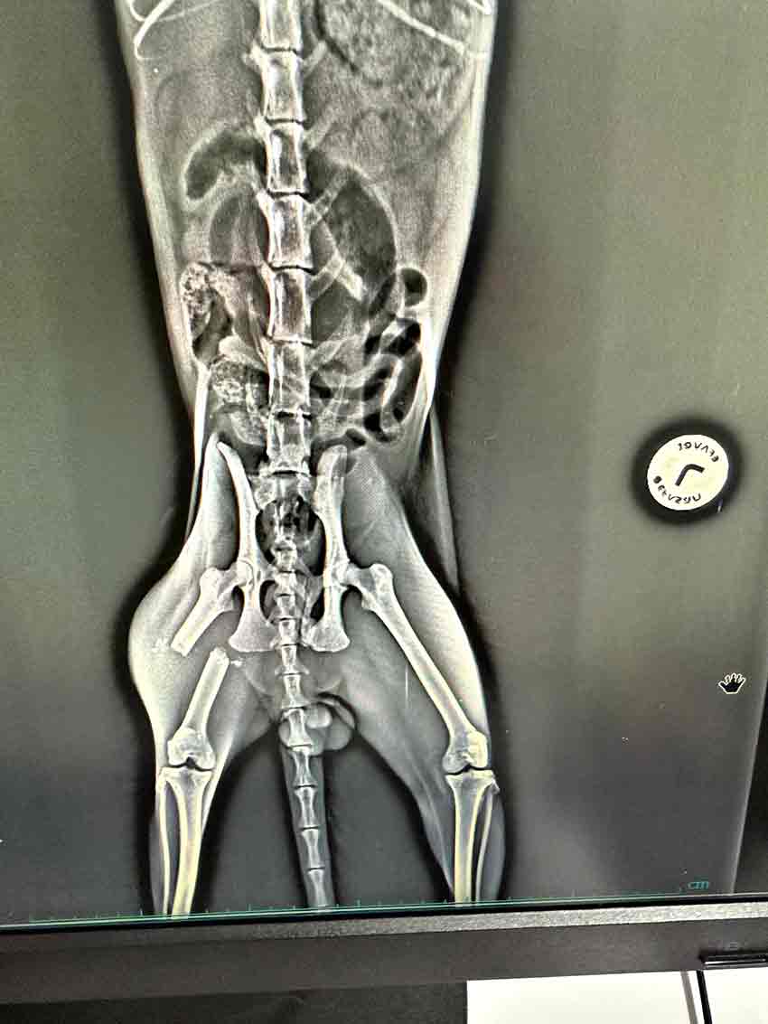 Whats App Image 2025 05 25 At 12.50.21 (1)